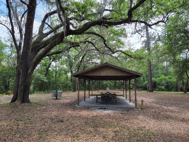 Picnicking and Relaxing in a Beautiful Natural Setting