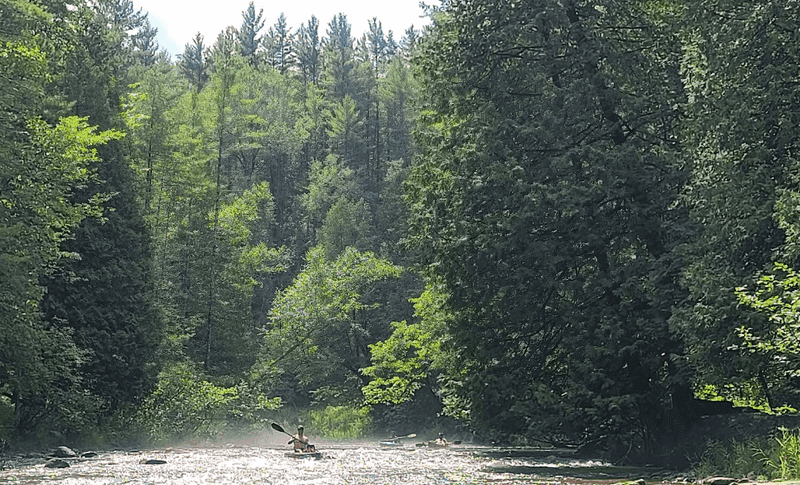 Pine River: A Quiet Waterway That Soothes the Soul