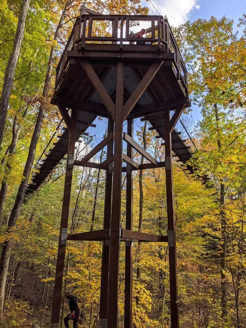 Planning Your Perfect Visit to Holden Arboretum