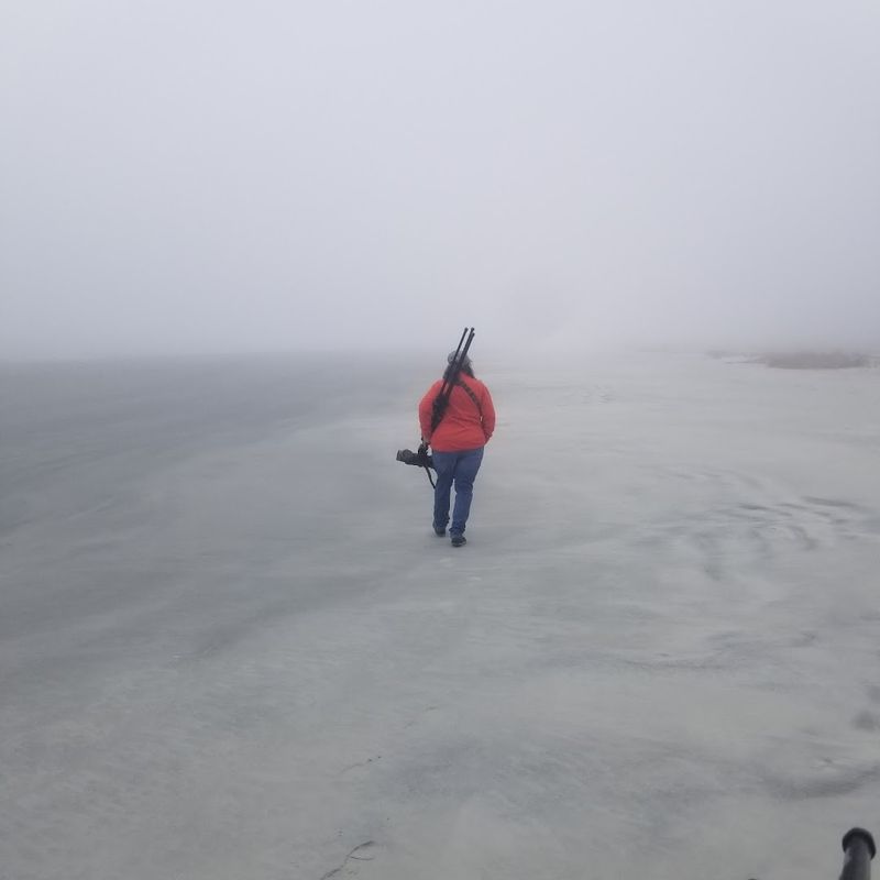 Planning Your Visit: Practical Tips for a Smooth Sapelo Island Trip
