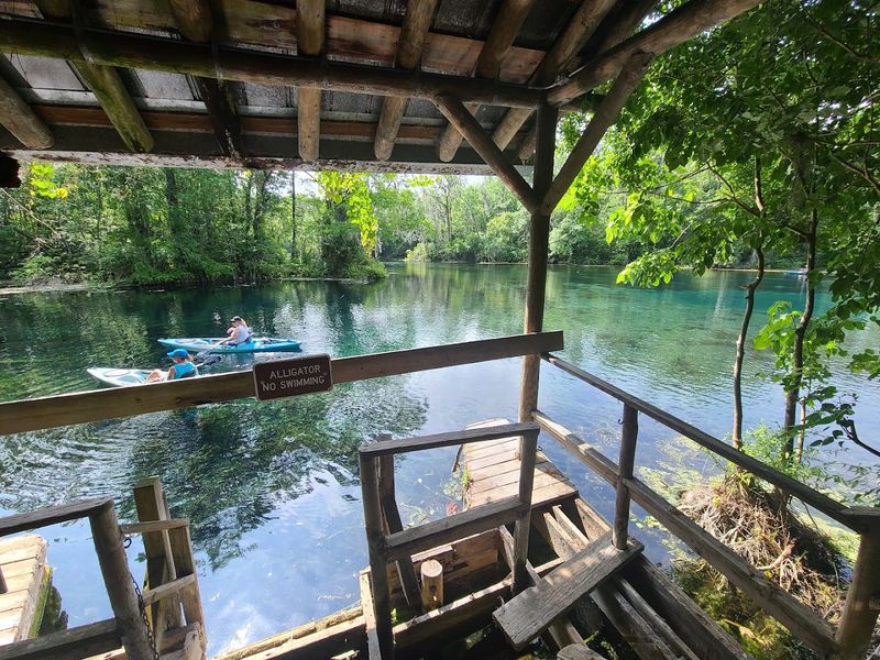 Planning Your Visit: Tips for Getting the Most Out of Silver Springs