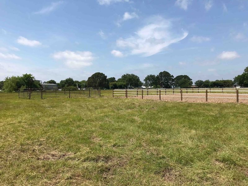Planning Your Visit to Lake Fork Stables