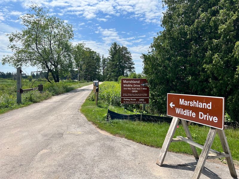 Planning Your Visit to Seney National Wildlife Refuge
