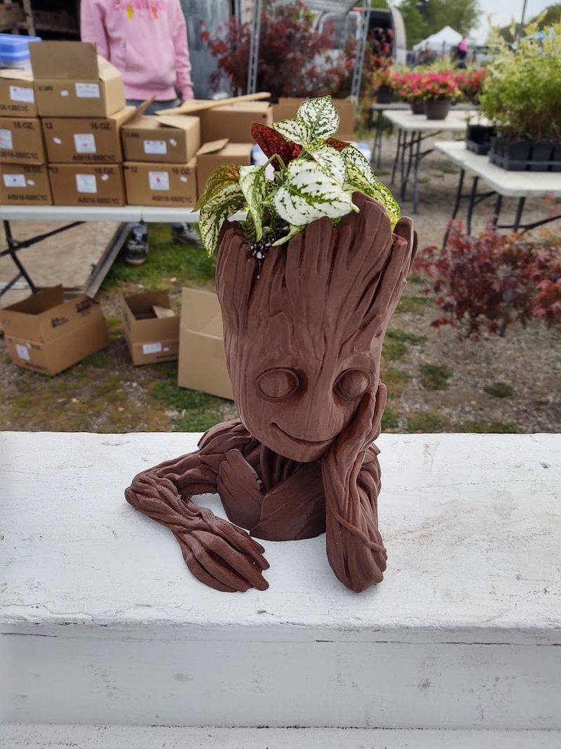 Plants, Flowers, and Garden Finds