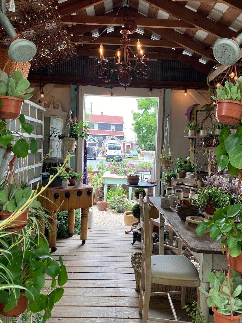 Plants and Flowers for the Garden Lover