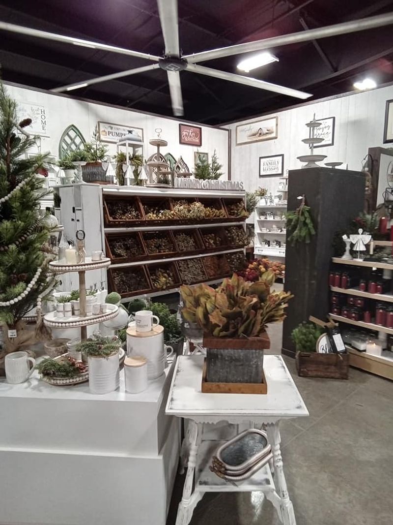 Plants and Greenery That Brighten Up Any Room