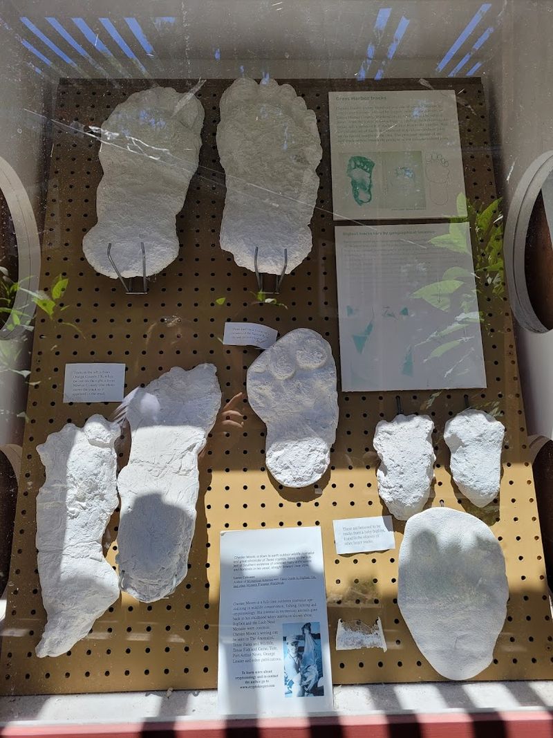 Plaster Footprint Casts That Will Make You Think Twice