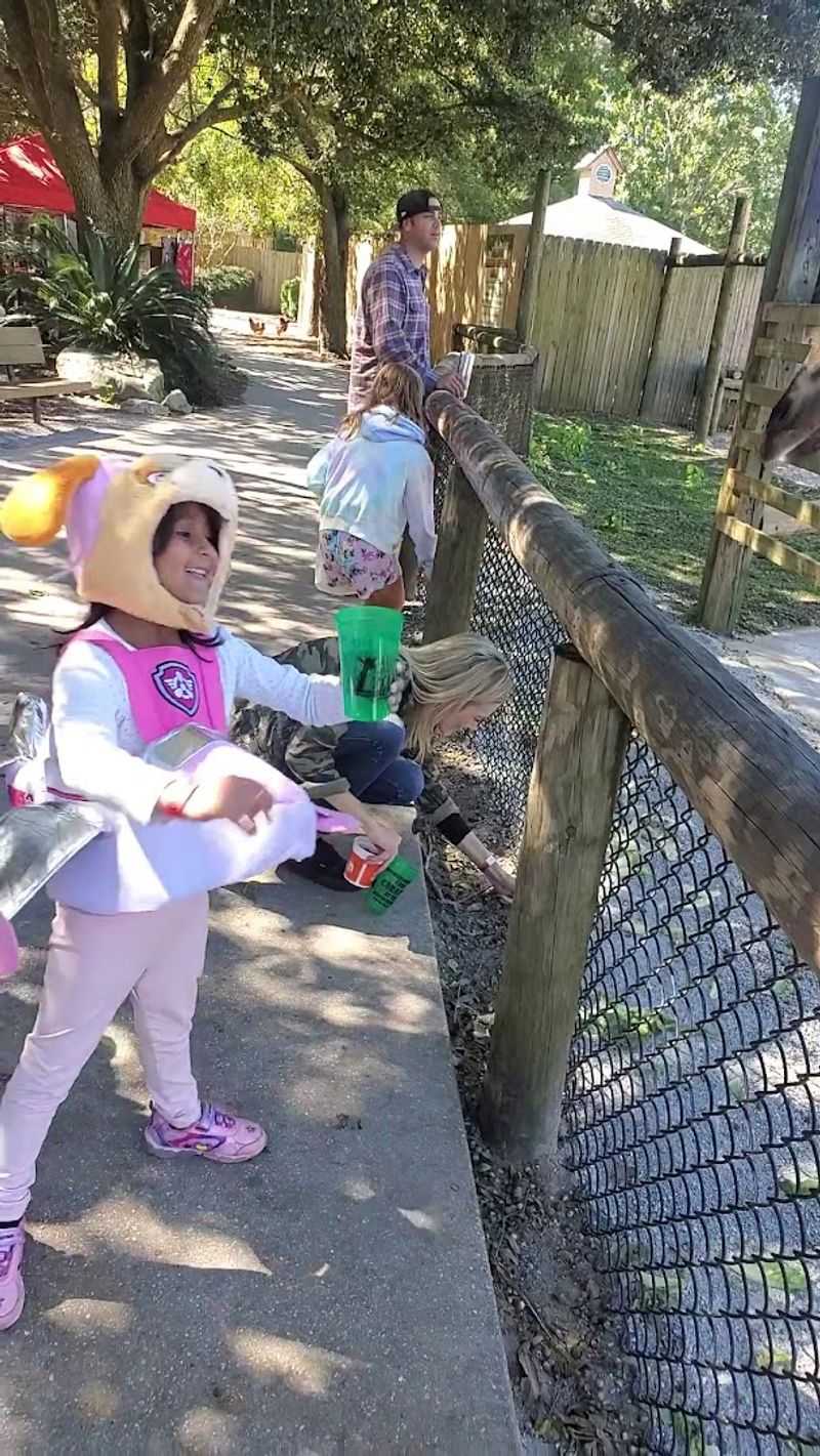 Playgrounds, Pavilions, and Family-Friendly Amenities