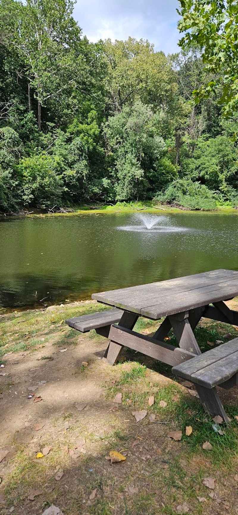 Plenty of Benches for a Slow, Relaxing Visit