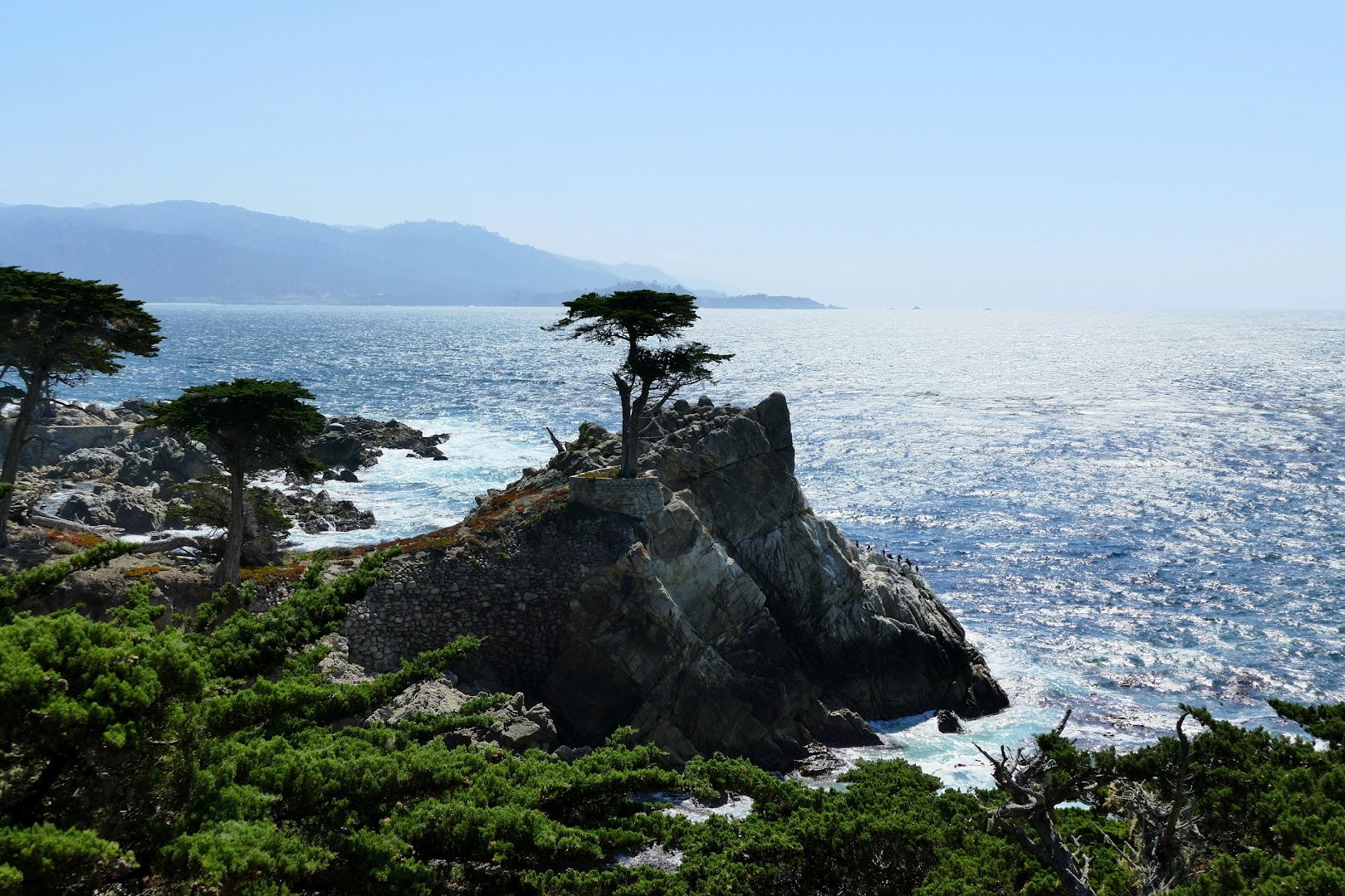 Point Lobos State Natural Reserve: Nature at Its Most Dramatic