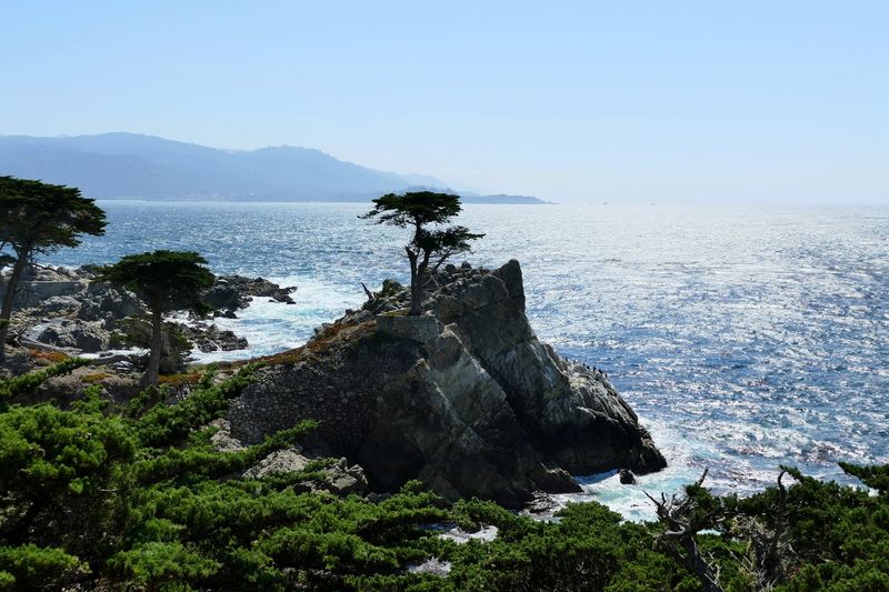 Point Lobos State Natural Reserve