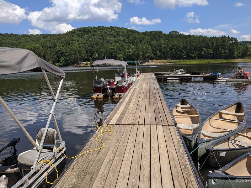 Pontoon Boat Rentals That Turn Any Afternoon Into an Adventure Pontoon Boat Rentals That Turn Any Afternoon Into an Adventure