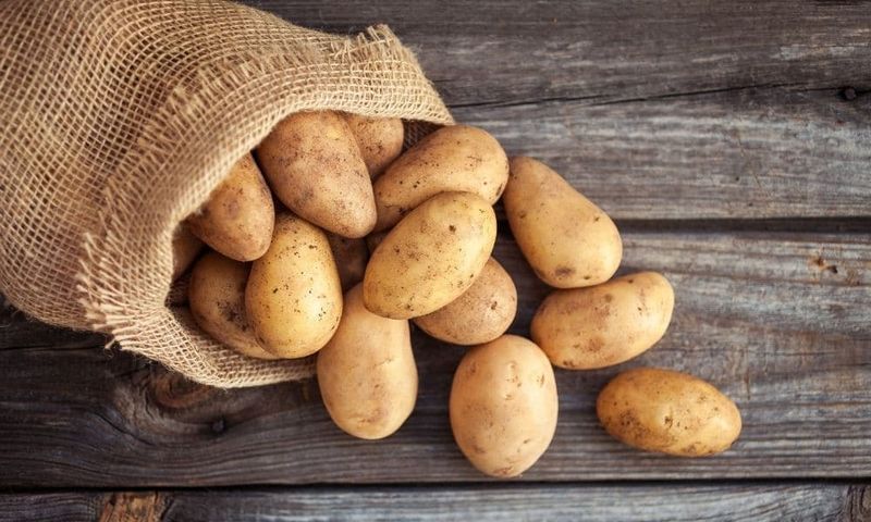Potato Bags