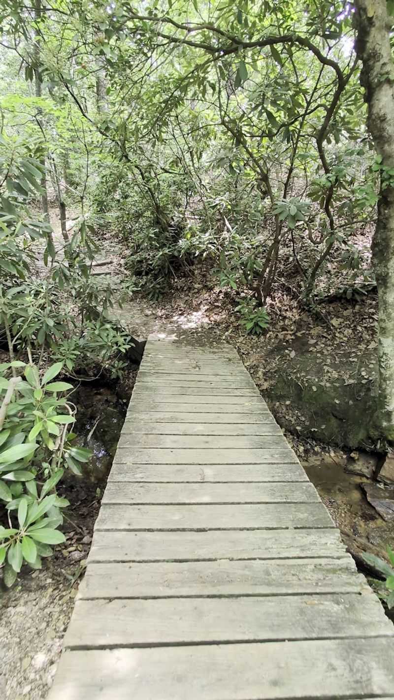 Practical Tips Before You Hit the Trail Practical Tips Before You Hit the Trail