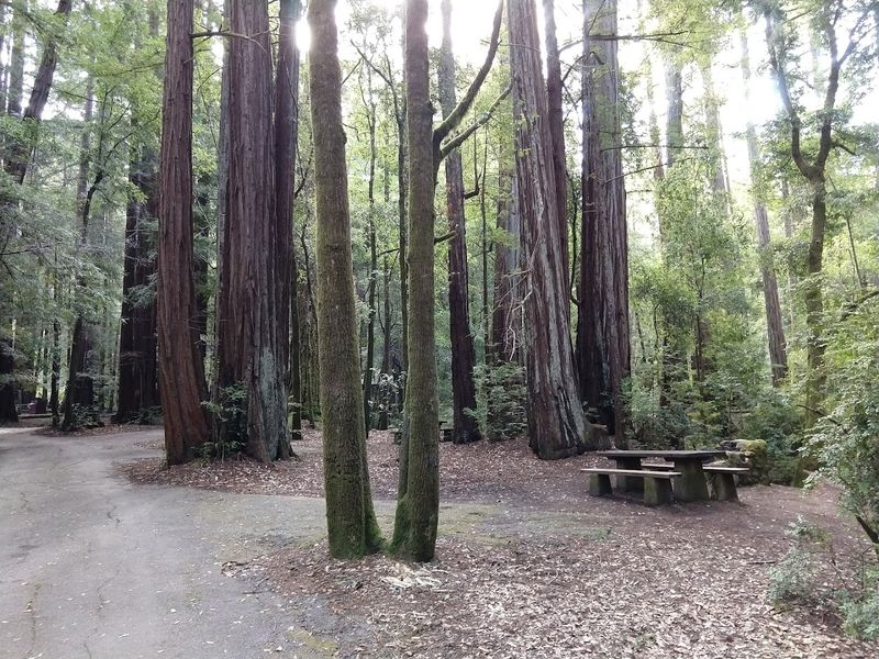 Practical Tips for First-Time Visitors