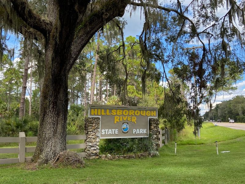 Practical Tips for Planning Your Visit to Hillsborough River State Park