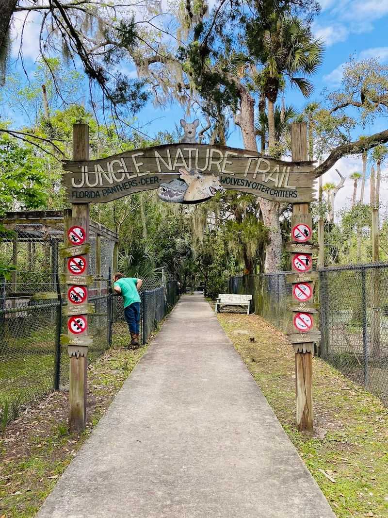 Practical Tips for Planning Your Visit to Jungle Adventures