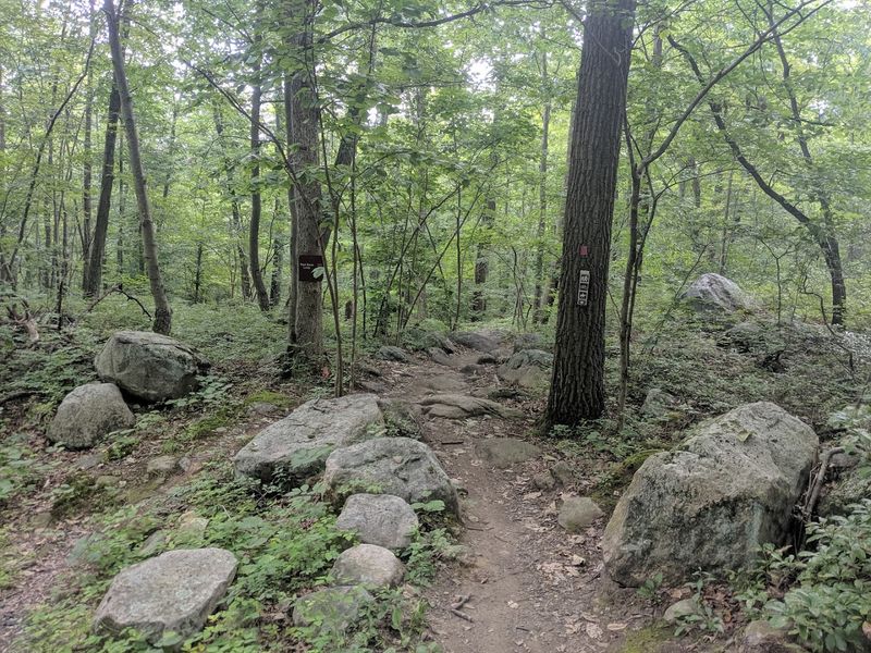 Practical Tips for Visiting Sterling Forest State Park