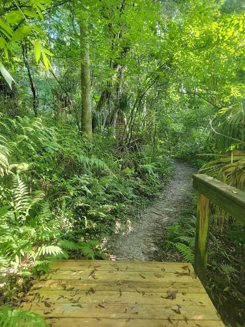 Practical Tips to Help You Plan the Perfect Visit to Ravine Gardens