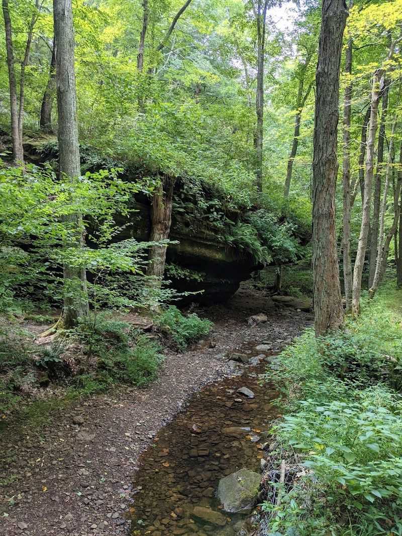 Primitive Camping That Feels Like True Wilderness