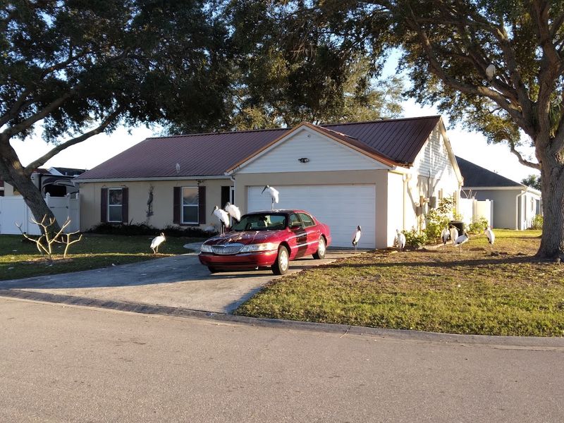 Property Taxes That Won't Drain Your Savings