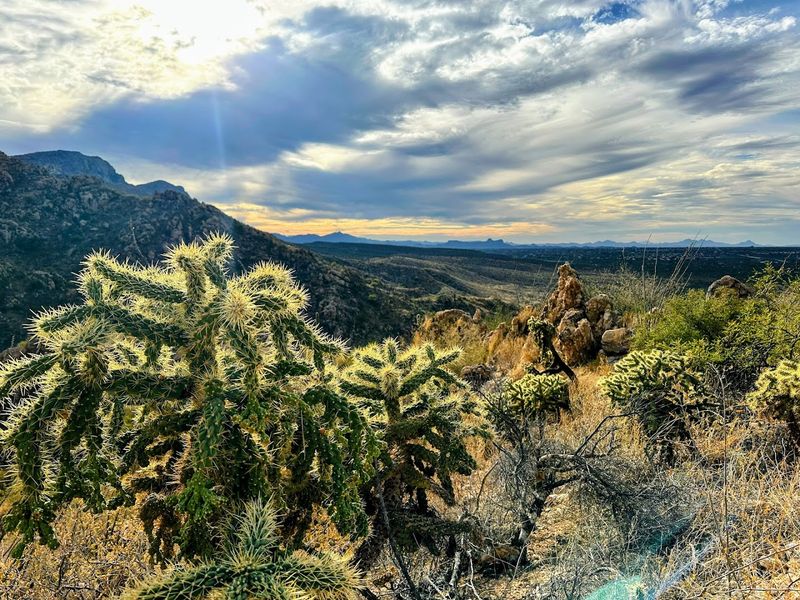 Proximity to Biosphere 2
