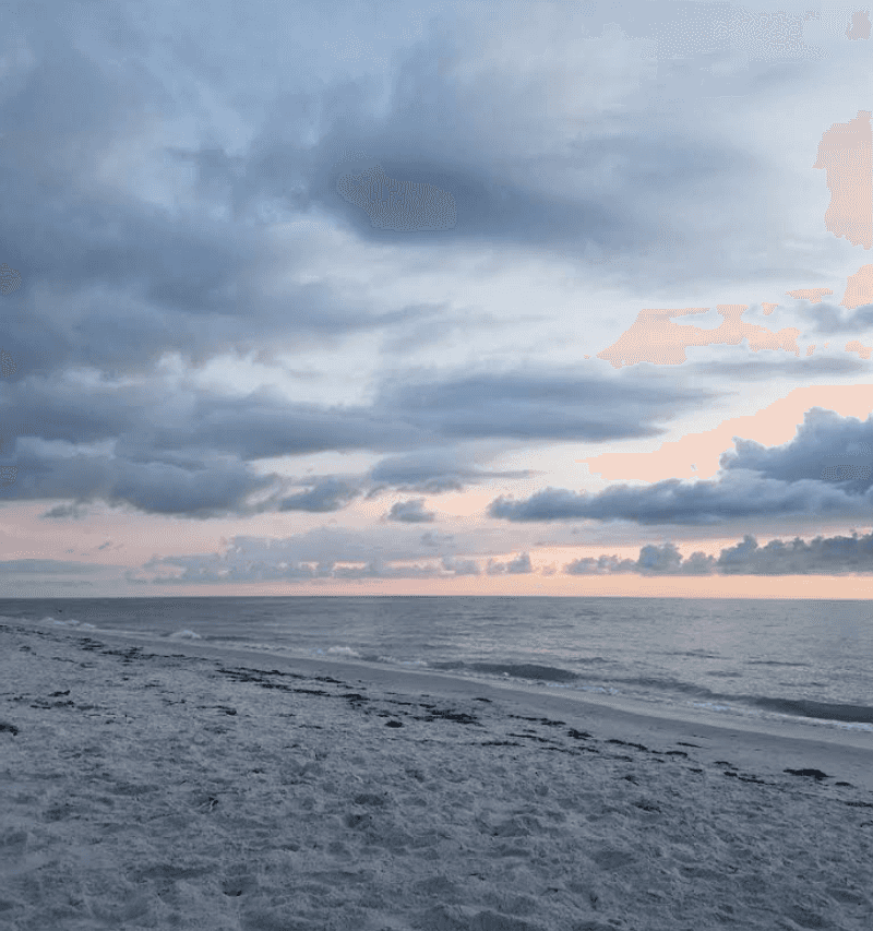 Proximity to Clearwater Without the Overwhelming Crowds