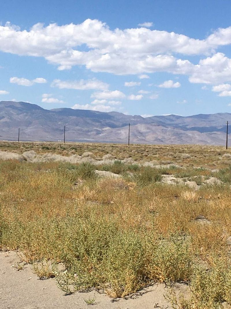 Proximity to Reno Means Big-City Perks Without Big-City Prices