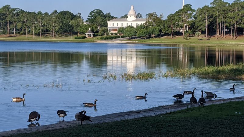 Proximity to Some of Florida's Most Beautiful Beaches