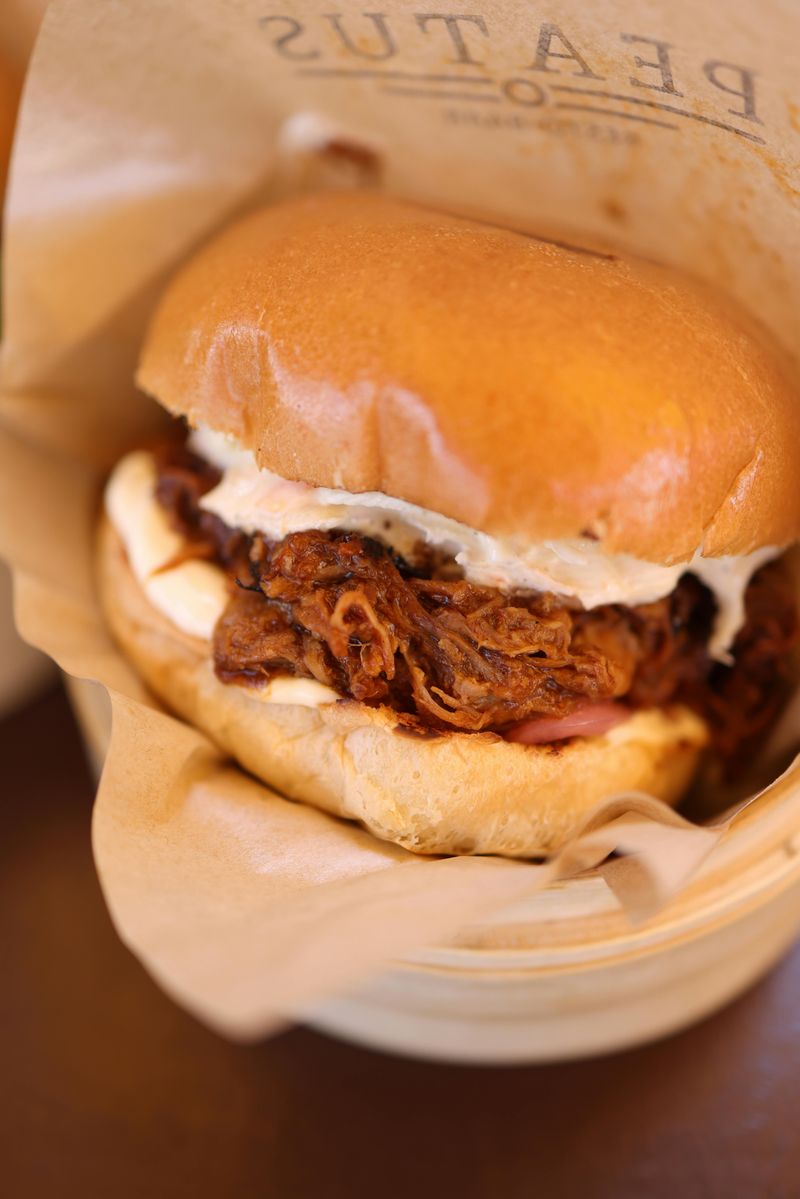 Pulled Pork Pulled Pork
