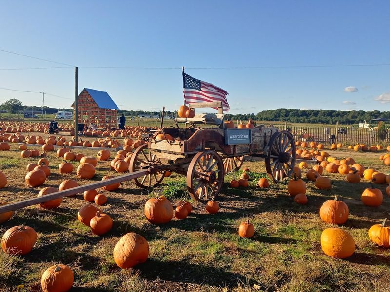 Pumpkin Picking That Makes Fall Feel Perfectly Festive