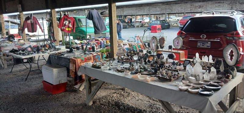 Rare Collectibles and Unexpected Treasures