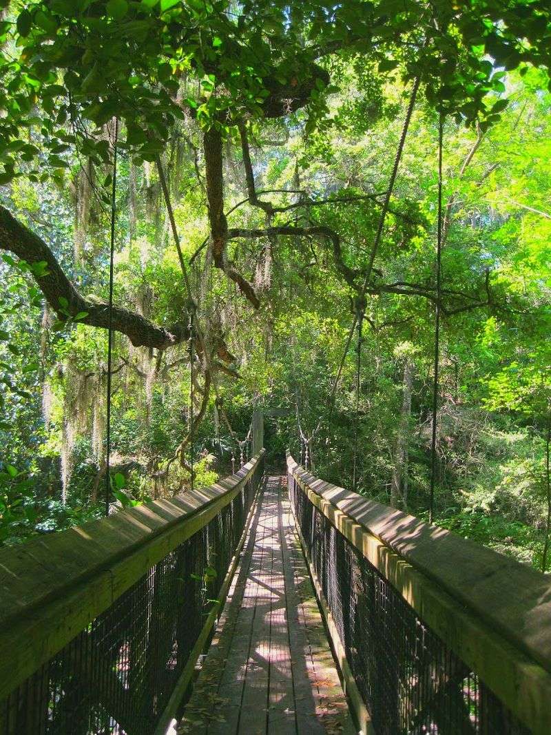 Ravine Gardens State Park - Palatka, Florida