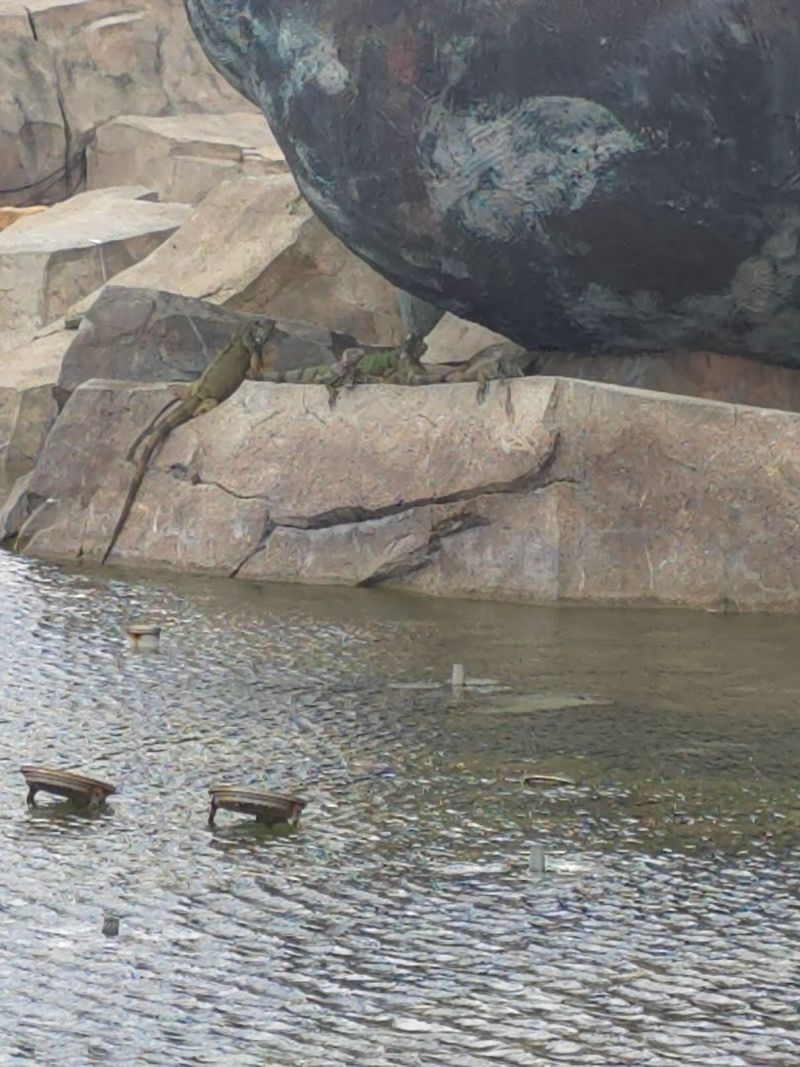 Real-Life Mini Dragons Roam the Base of the Statue