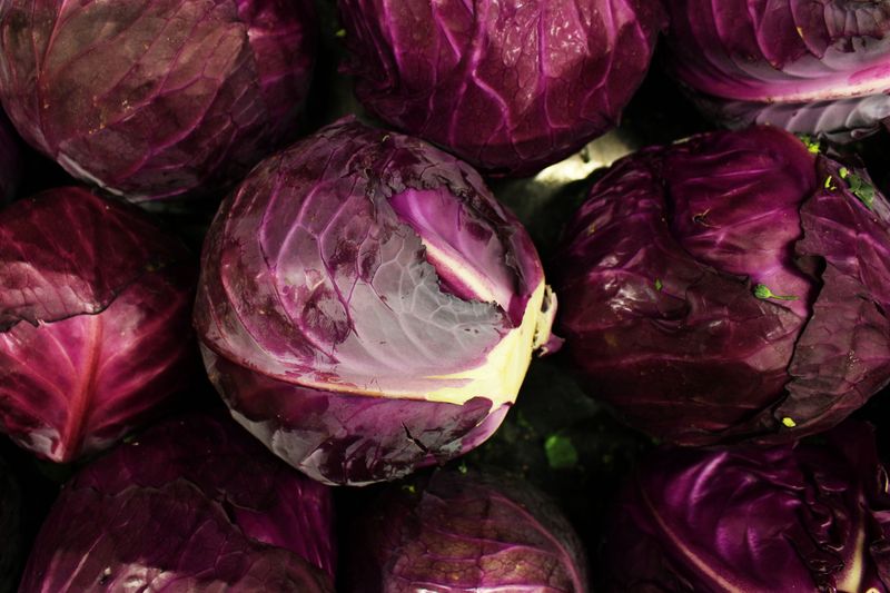 Red Cabbage Red Cabbage