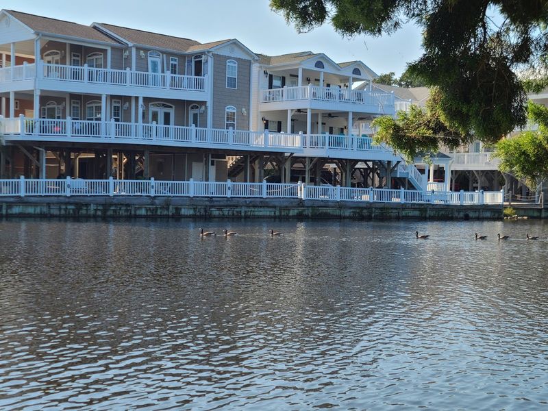 Rental Homes and Cottages for Every Group Size