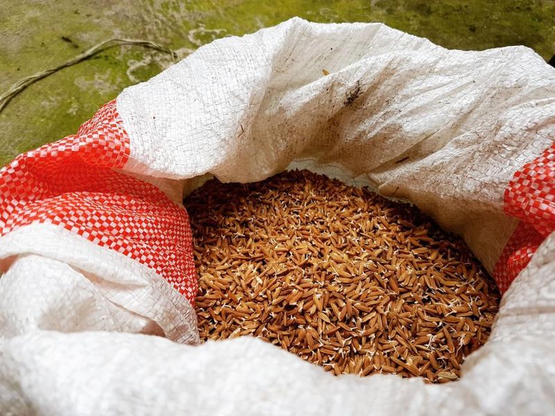 Rice Bags