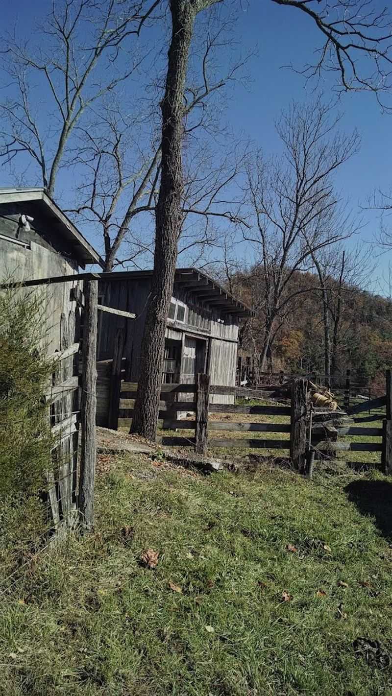 Rich Appalachian Music Culture Fills the Air With Authentic Soul