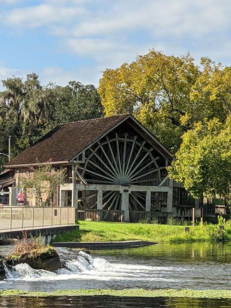 Rich History Rooted in Native Florida Heritage