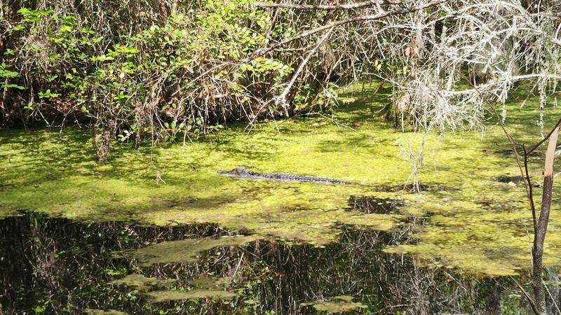 Rich Wildlife That Turns Every Visit Into a Real Discovery