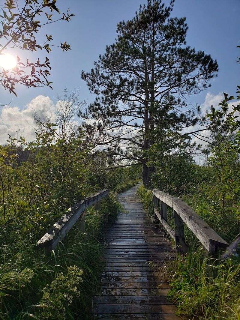 Robinson Road Trails for Hikers and Bikers