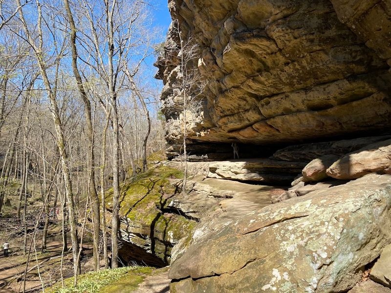 Rock Climbing Opportunities for the Brave and the Bold