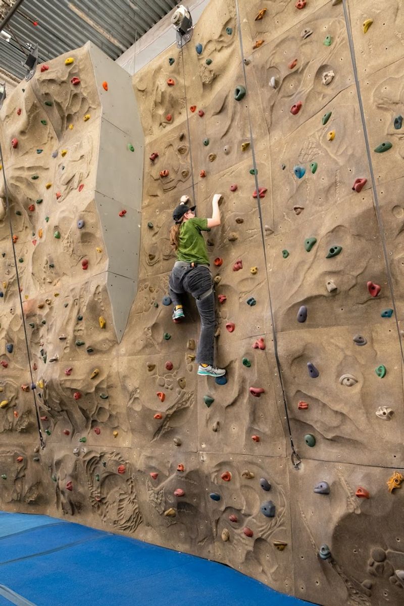 Rock Climbing Wall