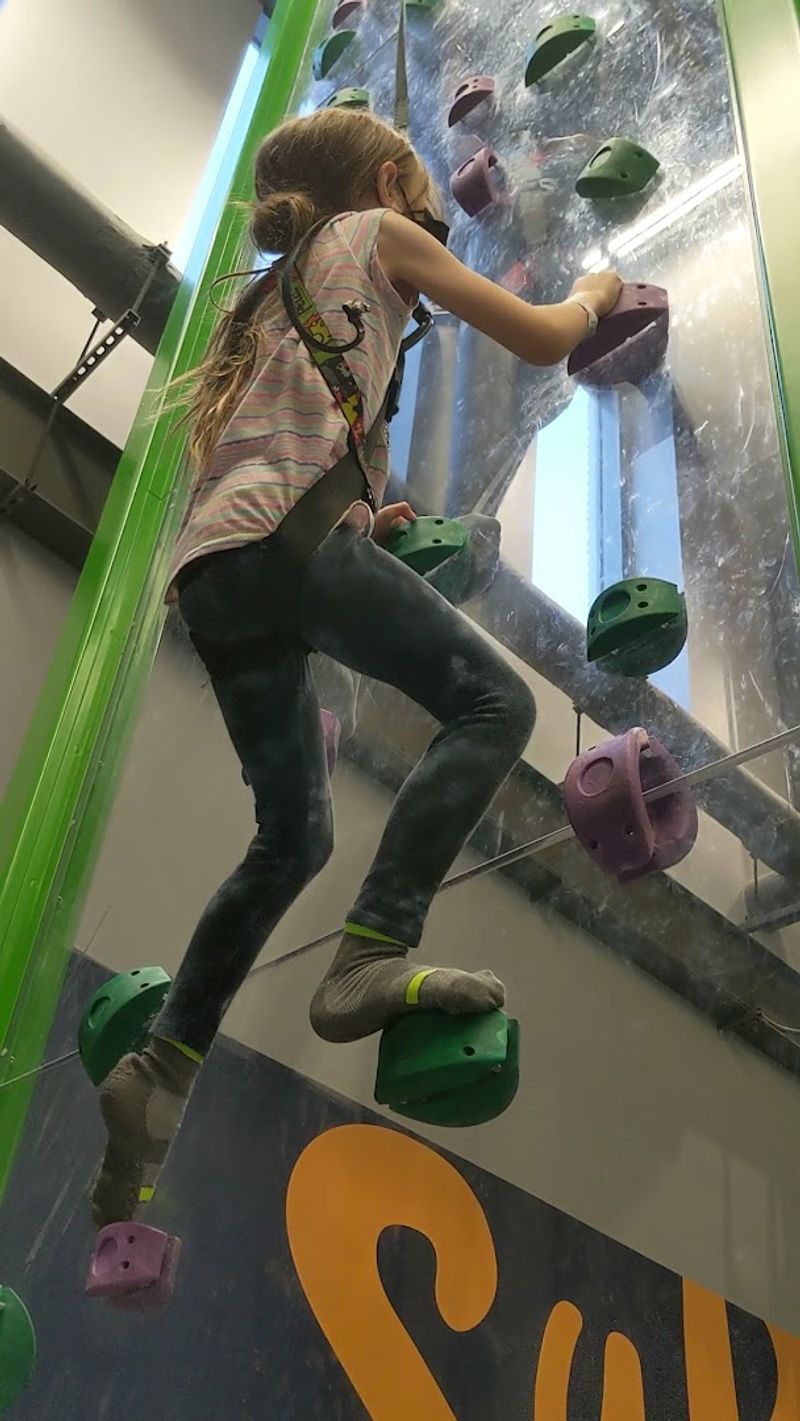 Rock Climbing Walls for Kids