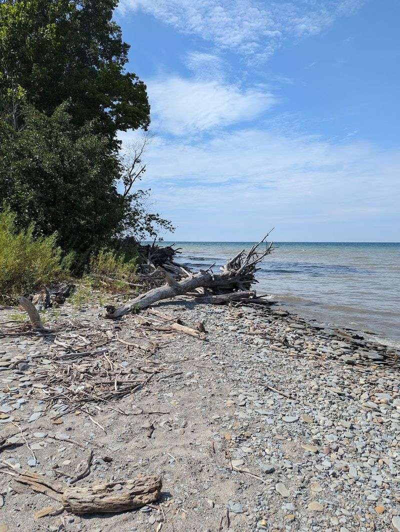 Rockhounding and Beach Glass Hunting on the Shore
