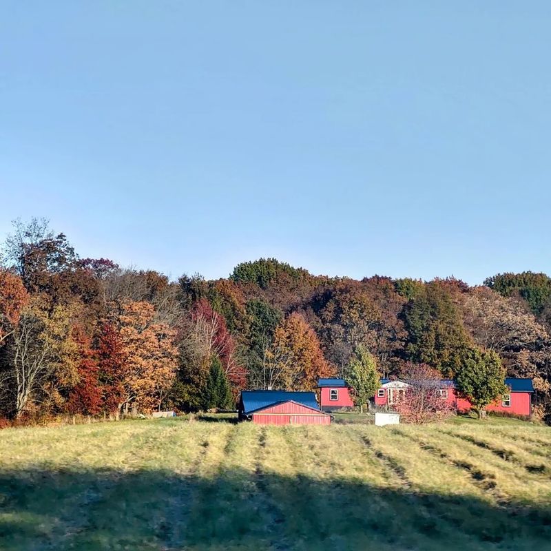 Rolling Farmland Views That Look Like a Living Painting