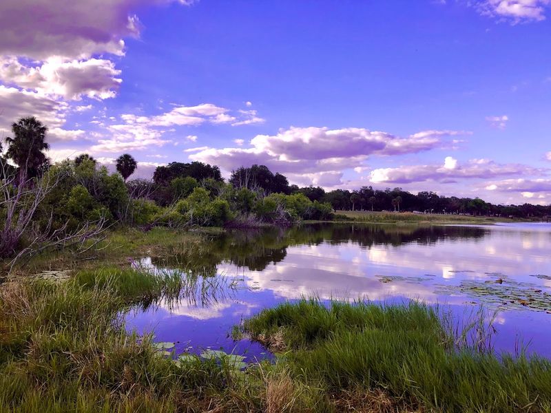 Rolling Hills That Defy Everything You Think You Know About Florida