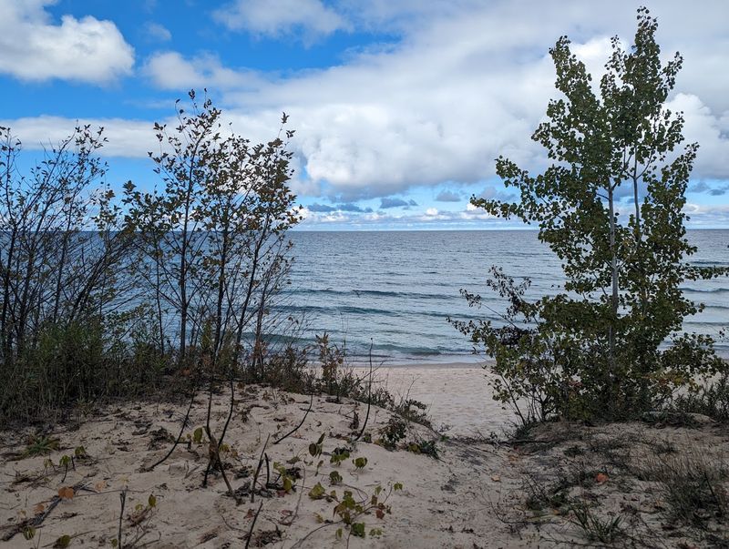 Rolling Sand Dunes and Cedar Bog Scenery