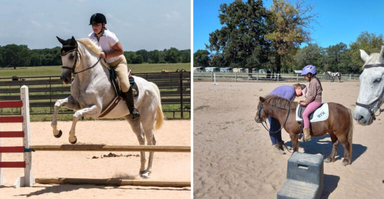 Saddle Up And Explore Texas On Retired Racehorses At This Charming Hidden-Gem Farm