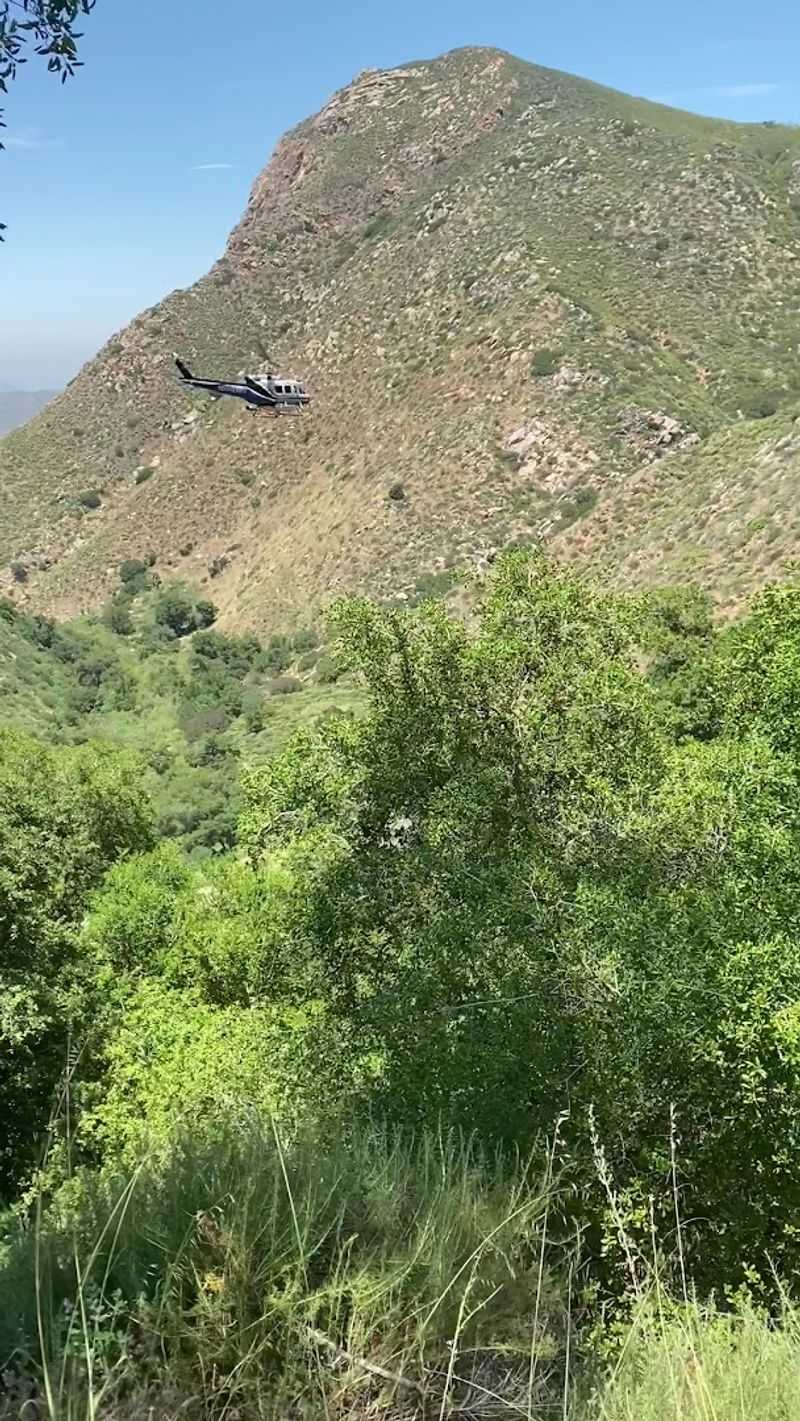 Safety Tips That Could Save Your Hike or Your Life